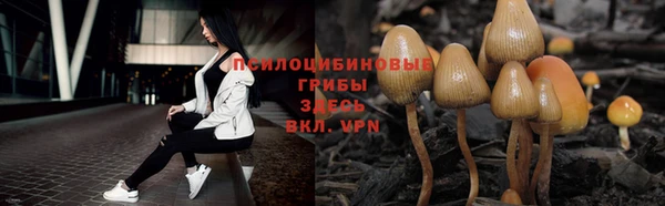 гидра Аркадак