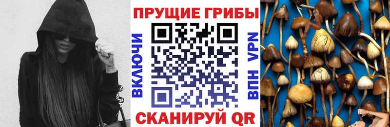 Псилоцибиновые грибы Psilocybine cubensis  что такое   Сергач 